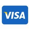 Visa icon in Color style